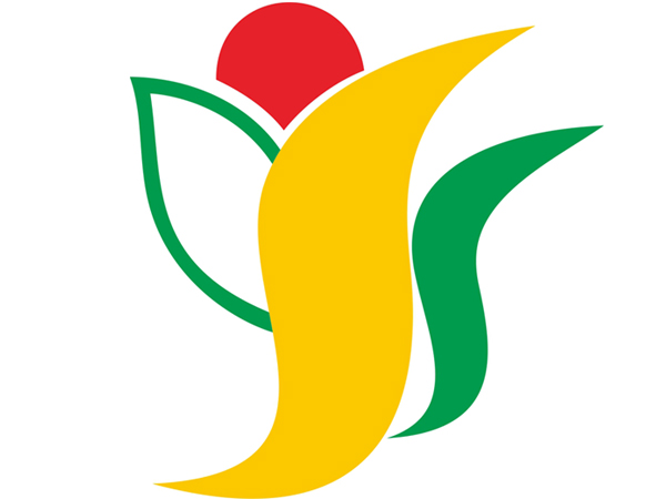 楊思小學(xué)