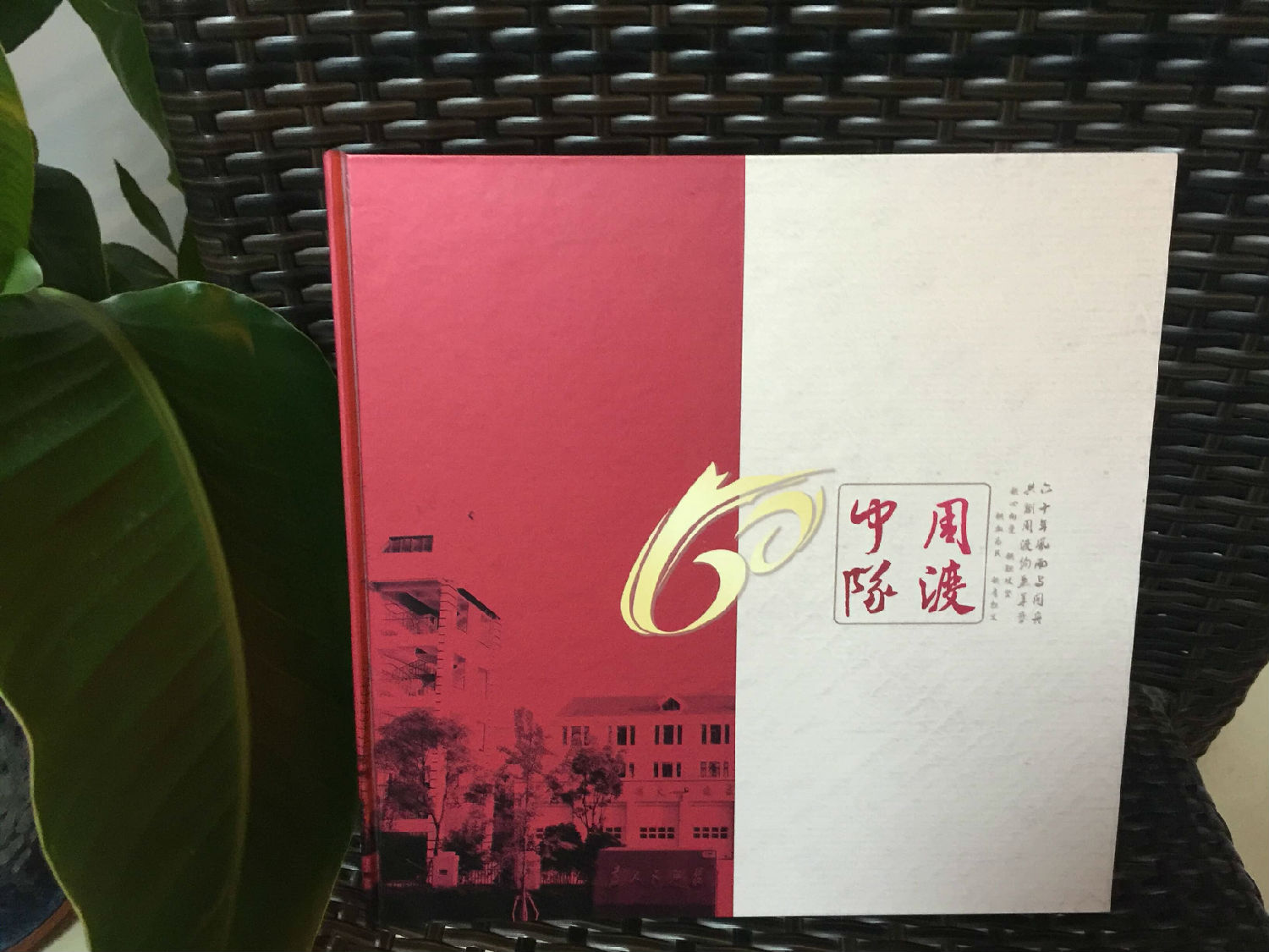 微信圖片_20190216151754_comp.jpg