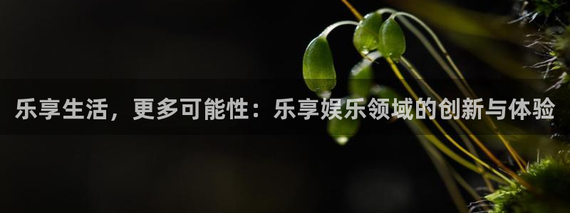 upload/20250701114914.jpg